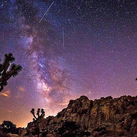 The Desert Nomad Retreat In Joshua Tree Village Екстер'єр фото