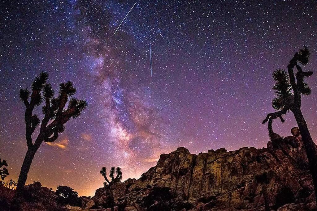 The Desert Nomad Retreat In Joshua Tree Village Екстер'єр фото