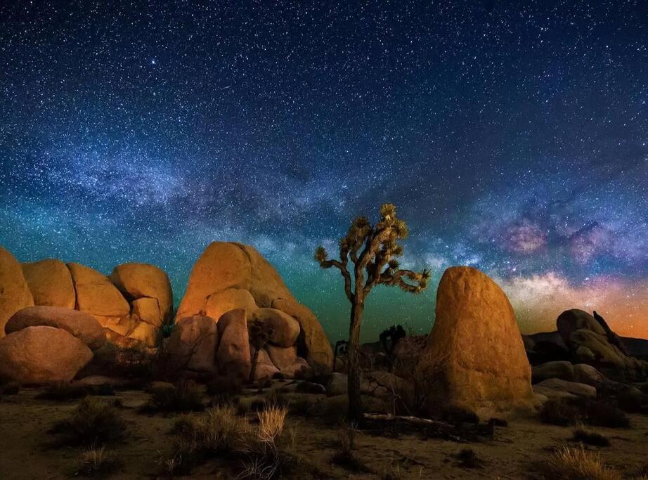 The Desert Nomad Retreat In Joshua Tree Village Екстер'єр фото