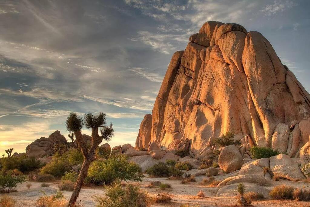 The Desert Nomad Retreat In Joshua Tree Village Екстер'єр фото