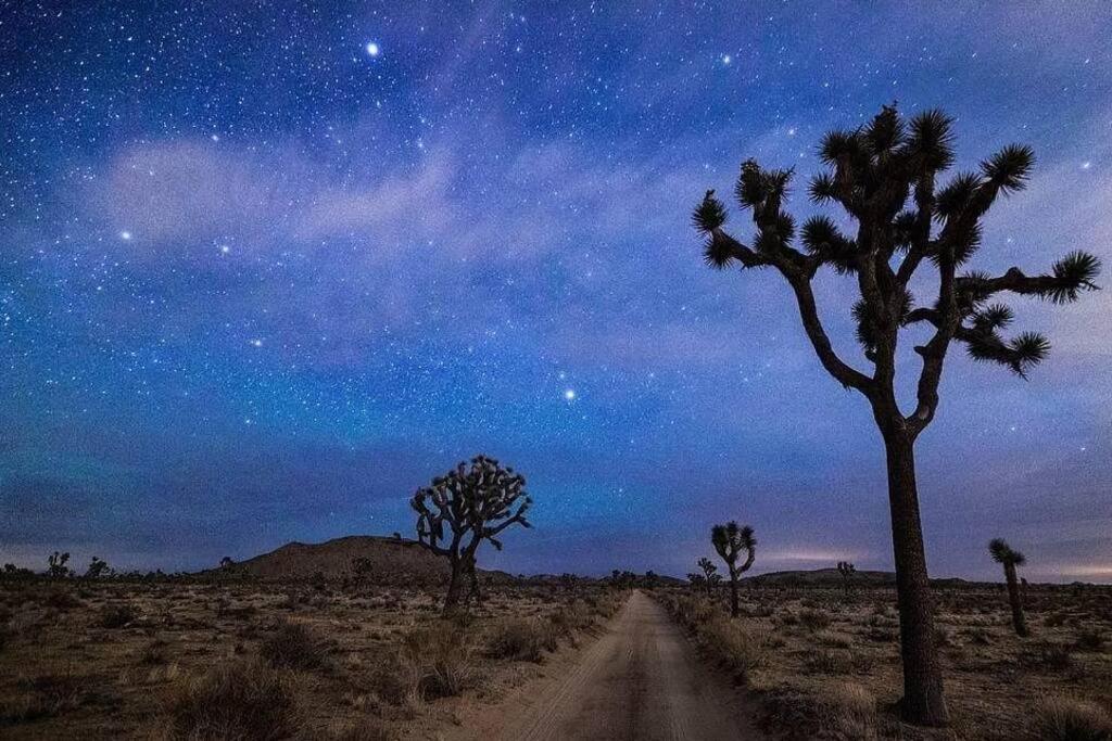 The Desert Nomad Retreat In Joshua Tree Village Екстер'єр фото