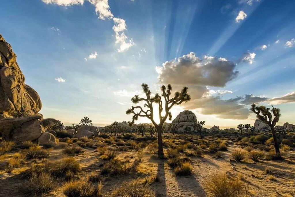 The Desert Nomad Retreat In Joshua Tree Village Екстер'єр фото